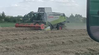 #@Żniwa 2024😱💪🌾 Claas lexion 560