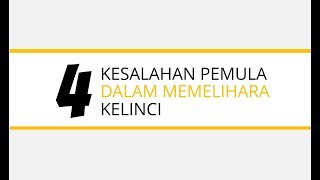 (Baru pelihara kelinci ? WAJIB TONTON) 4 Kesalahan Pemula dalam Memelihara Kelinci