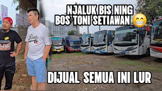 BUSNYA DI JUAL SEMUA LUR..wa 081389825920