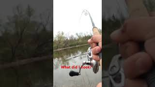 What the Hell did I hook in this pond?   #giant #fishing #bass #pondpro @SlaunchedGuideService