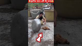 মুরগির সাথে এটি কি হলো!🤯woodworking art skill/mini wood-hand craft ideas-#shorts #facts #puzzle