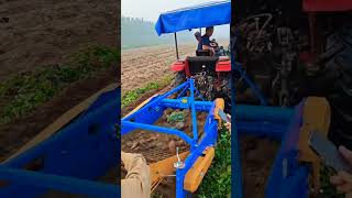 Another harvesting sweet potato harvester video please subscribe ✔️