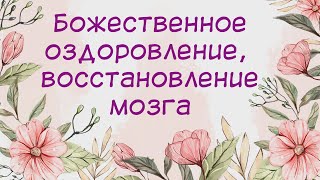 Божественное оздоровление, восстановление мозга -  для женщин