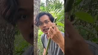 Pergoki Pencuri Mobil Mobilan di Tengah Hutan