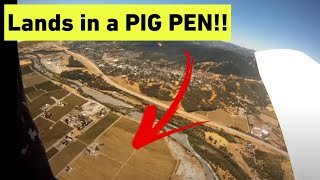 Camera Falls From Airplane and Lands in a PIG PEN!! | REACT