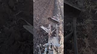 Mahindra Jivo 245 4WD ploughing 10 इंची नांगर