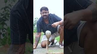 कोबरा का सबसे बड़ा खासियत | cobra | #shorts #cobra