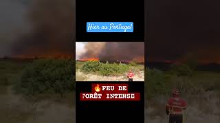 🔥🇵🇹Feu de forêt intense hier au Portugal #shorts #portugal #forêt#fire #youtube #news #youtubeshorts