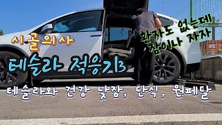 테슬라 모델X 적응기3 테슬라이프 캠핑모드, 낮잠, 단식, 원페달, 라이트쇼// tesla modelx review 3