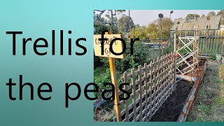 pea trellis