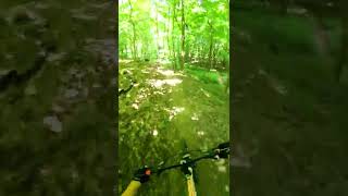 Riding Off A Big Technical Log Drop #bike #gopro #mtb