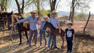 NUEVO MIEMBRO EN LA FAMILIA RANCHERITOS MIRA COMO FUE SU NACIMIENTO