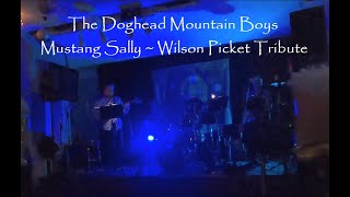 the doghead mountain boys sing mustang sally by wilson pickett