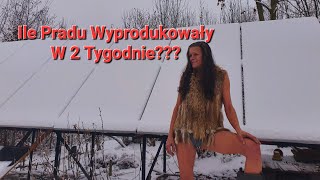 385. Panele Po 2 Tygodniach & Ile Prądu Wyprodukowały ?