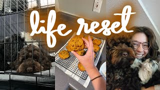 getting my life together post vacation | VLOG