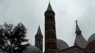 Campane basilica di S. Antonio di Padova