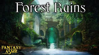 🌲 Fantasy Forest Ruins 🏛️ Study and Meditation Ambience 🧘