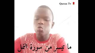 Ecoutez  Notre Frére  Imite Ali Jabir  ( Djibril  Diallo)  Qeu Allah  Proteger 🌹