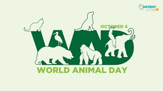 World Animal Day 2020 I Content Studio