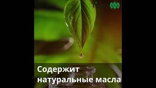 ДЫХАТЕЛЬНЫЙ ЭЛЕМЕНТ с эфирными маслами