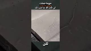 عندما تعطي الطبيعة دروسا في الحياة