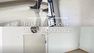 BTO Flat Defects Check Experience | Comprehensive Inspection & Rectification Process