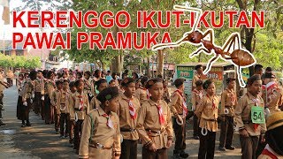 ASYIKNYA NONTON PAWAI EH ... DISERANG SEMUT RANGRANG