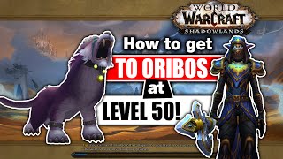 Shadowlands Level 50 Intro quests to Oribos