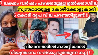 7 ലക്ഷം വർഷം പഴക്കമുള്ള ഉൽക്കാ ശില കേരളത്തിൽ !!? | MalluMagellan