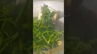 STIR FRY KANGKONG #shorts #youtubeshorts #waterspinach