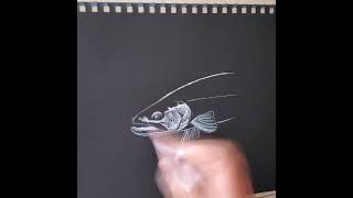 Drawing a fish with a stick of chalk | How to draw Time-lapse