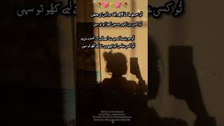 Tu Samjh Jaye Ga Phir Apny Sawaloo Ki Chubhan - Urdu poetry Shayari status