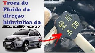 Troca do fluido da direção hidráulica da Ecosport + Limpeza do sistema | Direção dura | Zetec Rocam