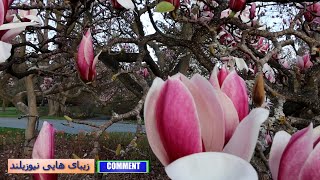 #Botanical garden in Christchurch#