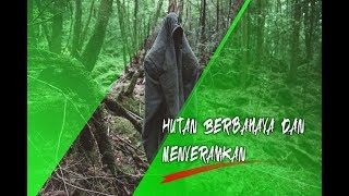 Hutan menyeramkan dan  bermisteri di dunia