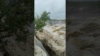 dhuandhar waterfall in jabalpur #tour #viral #youtube