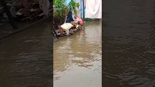 Flood in house with 90s hindi song #song #trending #music #viralvideo