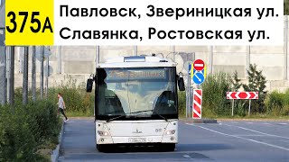 Автобус 375а "Славянка, Ростовская ул. - Павловск, Звериницкая ул."