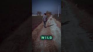 Walking into a field x AlanWalker #shorts #alone #faded #cinematic