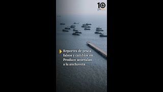 Reportes de pesca falsos y cambios en Produce acorralan a la anchoveta