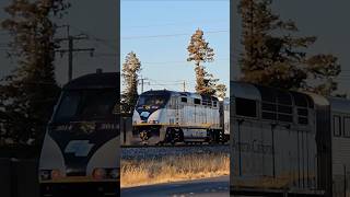 POV: You catch a Capitol corridor train with an F59PHI