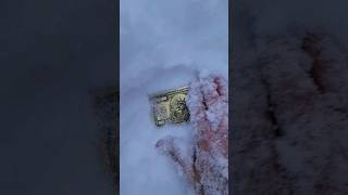 Found $1.000.000 in the snow 🥶