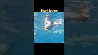 Swimming with Sharks