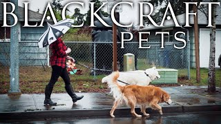 Blackcraft Cult - Pets