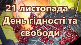 21 листопада - День Гідності та Свободи