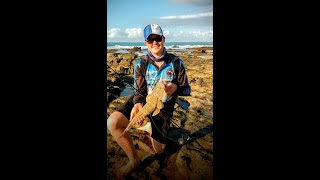 Massive Flathead Catch ‘n’ Cook in Dangerous rock pools #shorts #fishing #short