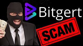 Bitgert $BRISE is a Scam PERIOD - 5 Reasons Bitgert is a Scam!