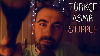 Türkçe ASMR Stipple / Yüz Fırçalama ve Sohbet Günlükleri