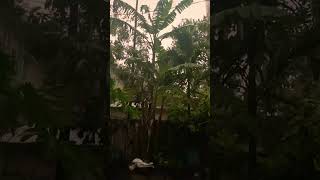 Rain in Slow-motion #viral #sylhetivlog #shorts