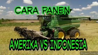 Perbadaan Panen Padi di Amerika VS Indonesia